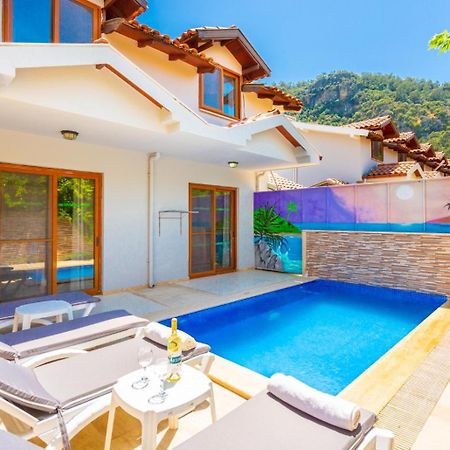 Villa Elmas Paradise 达利安 外观 照片
