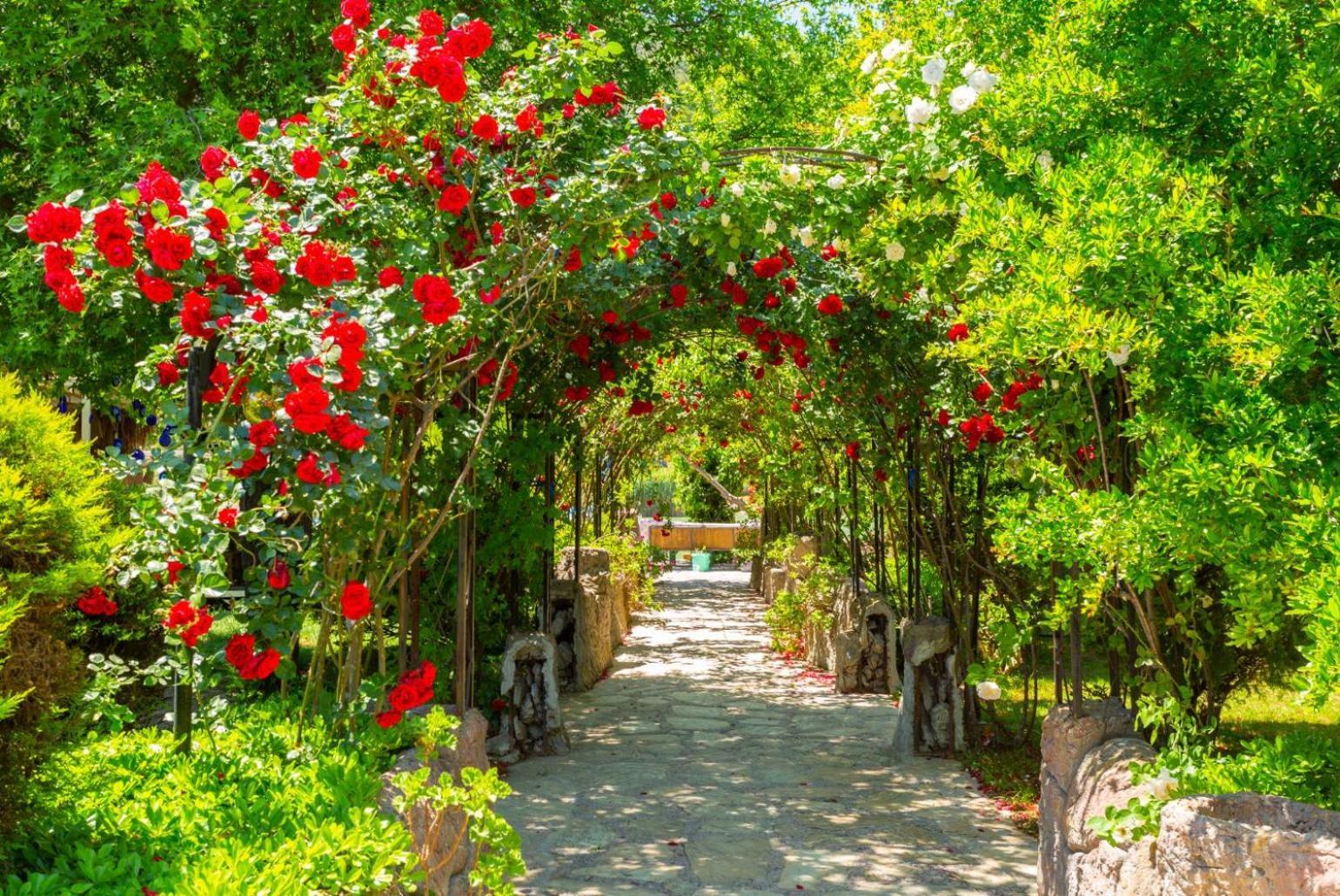Villa Elmas Paradise 达利安 外观 照片